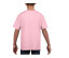 SOFTSTYLE YOUTH T-SHIRT
